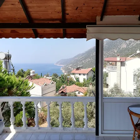 Koknar * Kaş