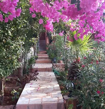 Koknar Gasthuis Kaş