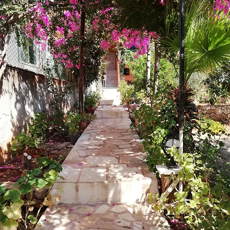בית הארחה Koknar קס