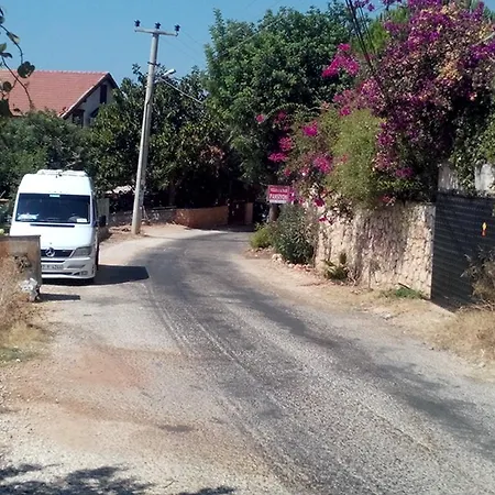 Koknar 게스트하우스