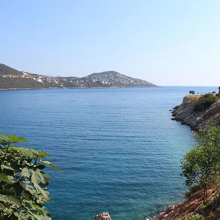 Koknar 게스트하우스