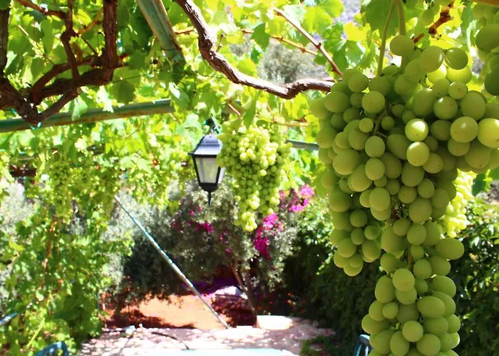 Гостевой дом Koknar *