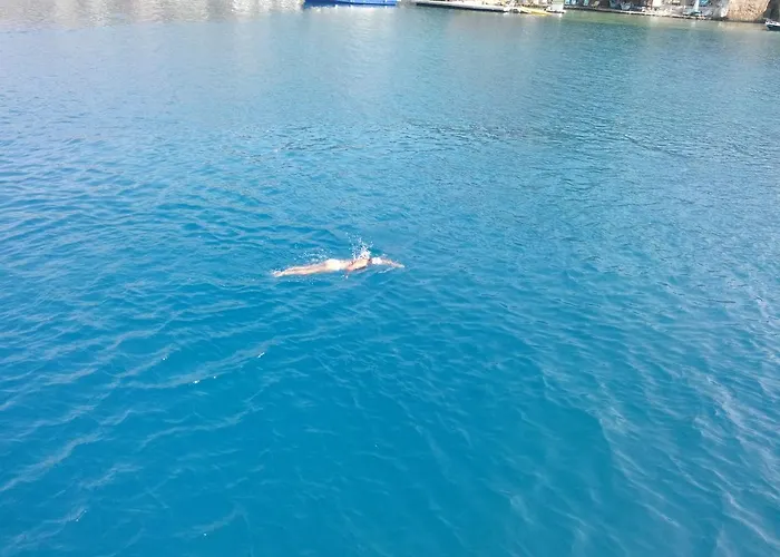 Koknar Гостевой дом