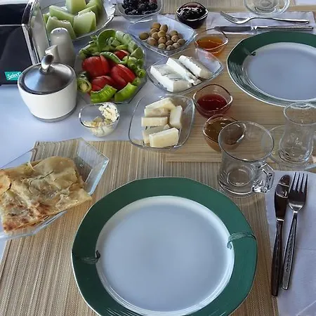 Koknar Kas